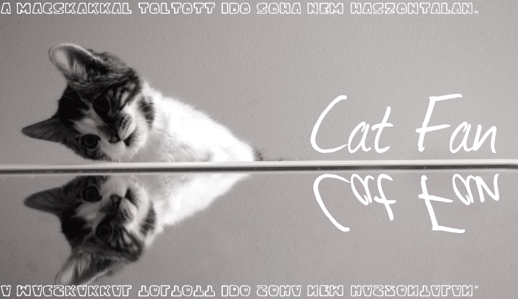 Cats Love <<<<Mert a macskk nlkl nem let az let>>>>>